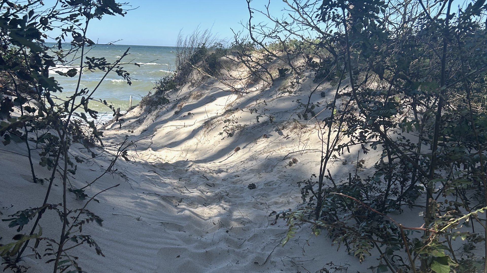 Sandweg durch die Dünen an der Ostsee